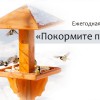 Проект  "Покорми птиц зимой" - Валериановск - Сайт поселка