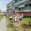 Озеленение поселка - Валериановск - Сайт поселка